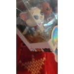 Image 4 of customer photos