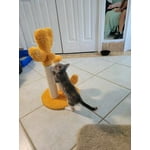 Image 7 of customer photos