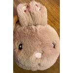 Image 6 of customer photos