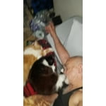 Image 5 of customer photos