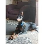 Image 3 of customer photos