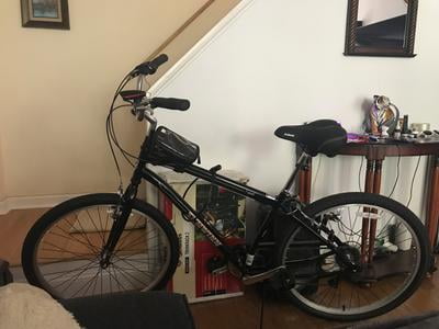 schwinn brookline cruiser
