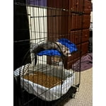 Image 2 of customer photos