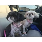 Image 1 of customer photos