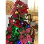 Image 6 of customer photos