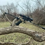 Image 4 of customer photos