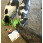 Image 3 of customer photos