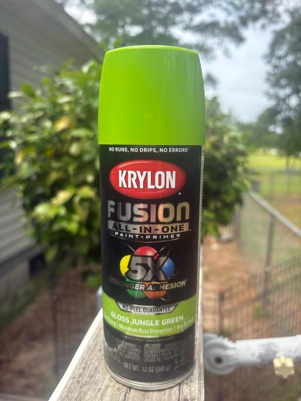 KRYLON 2728 BLACK Fusion All-In-One Metal Paint & Primer, No-Peel