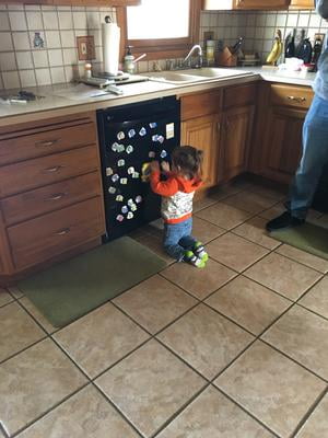 leapfrog word whammer fridge phonics walmart