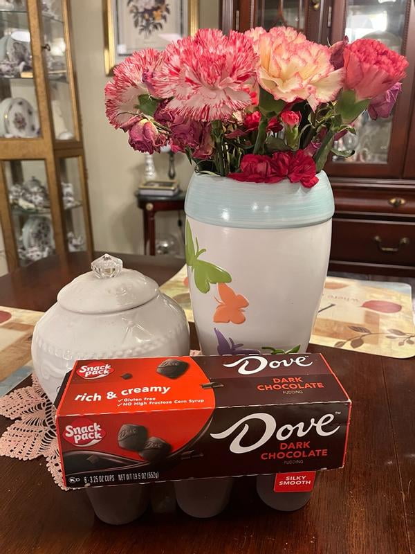 Snack Pack DOVE Dark Chocolate Pudding Cups, 3.25 oz. 6-Count