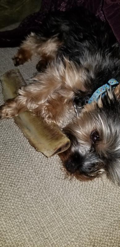 ol roy natural beef rib