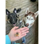 Image 3 of customer photos