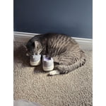 Image 5 of customer photos