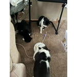 Image 6 of customer photos