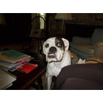 Image 3 of customer photos