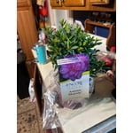 Image 2 of customer photos