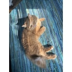 Image 7 of customer photos