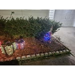 Image 3 of customer photos