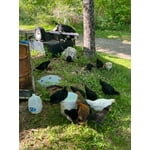 Image 2 of customer photos