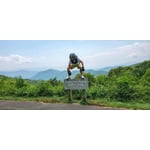 Image 7 of customer photos