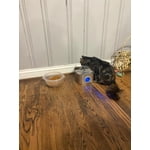 Image 2 of customer photos