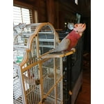 Image 5 of customer photos