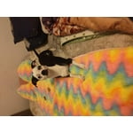 Image 6 of customer photos