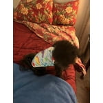 Image 4 of customer photos