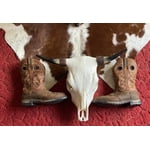 Image 5 of customer photos