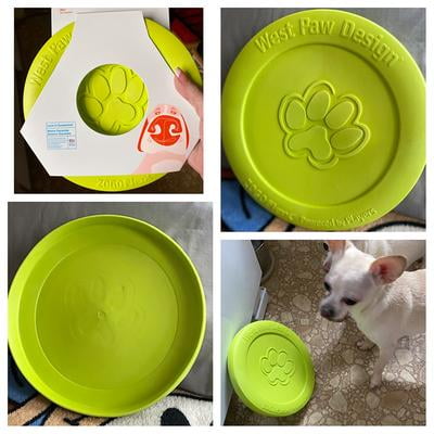 west paw dog frisbee