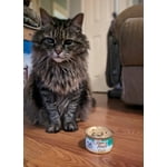 Image 7 of customer photos