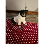 Image 4 of customer photos