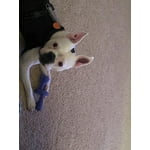 Image 2 of customer photos