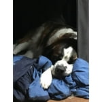 Image 3 of customer photos