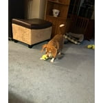 Image 2 of customer photos