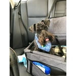 Image 6 of customer photos