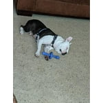 Image 4 of customer photos