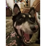 Image 5 of customer photos