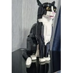 Image 5 of customer photos