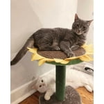 Image 6 of customer photos