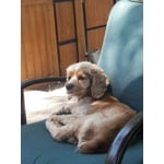 Image 3 of customer photos