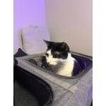 Image 2 of customer photos