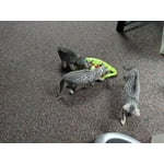 Image 1 of customer photos