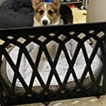 Image 2 of customer photos