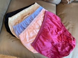 hanes nylon panties