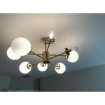 Image 5 of customer photos