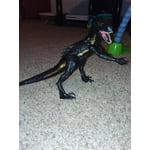 Image 5 of customer photos