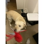 Image 7 of customer photos