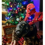 Image 5 of customer photos