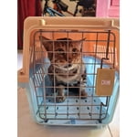 Image 3 of customer photos